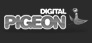Digital Pigeon